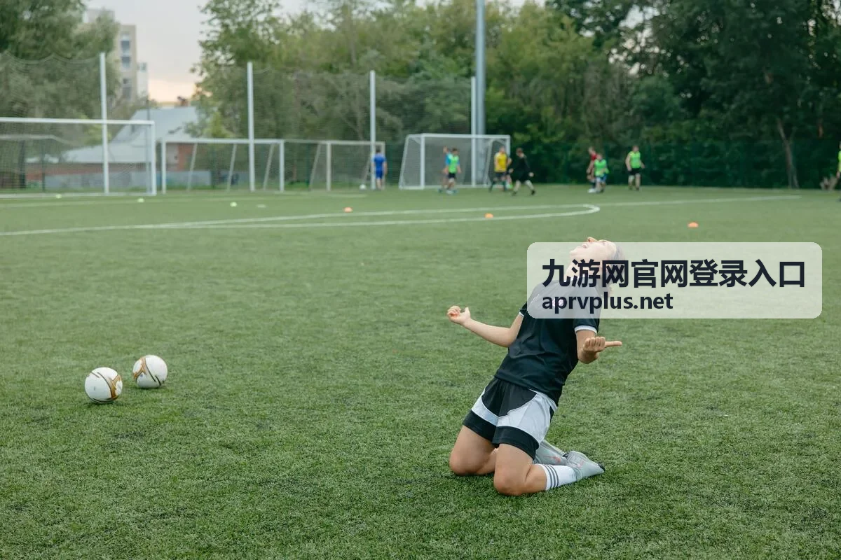 九游网官网登录入口 账号登录流程示意